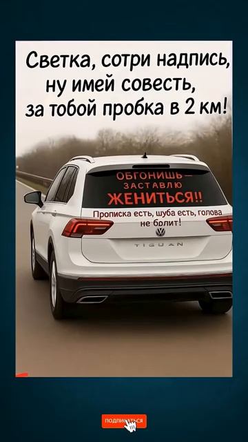 Светка сотри надпись юмор шутка мем прикол смешно [get.gt]