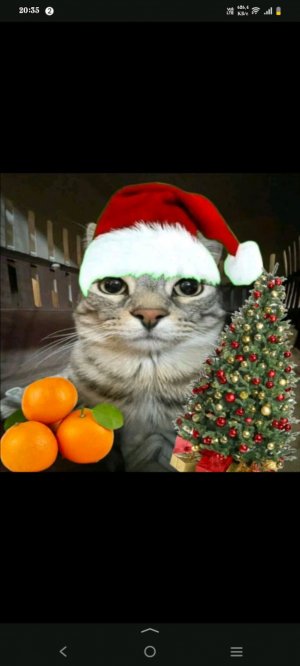 сегодня будем играть в майнкрафт 🎮