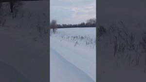 1000085805.mp4🎶Жизнь состоит из мелочей 🎶