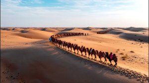 Караванщик (нож в спину)