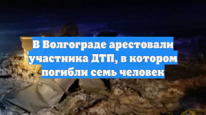В Волгограде арестовали участника ДТП с семью жертвами