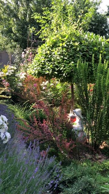 Пока зима властвует, вспоминаем лето💖 смотреть онлайн