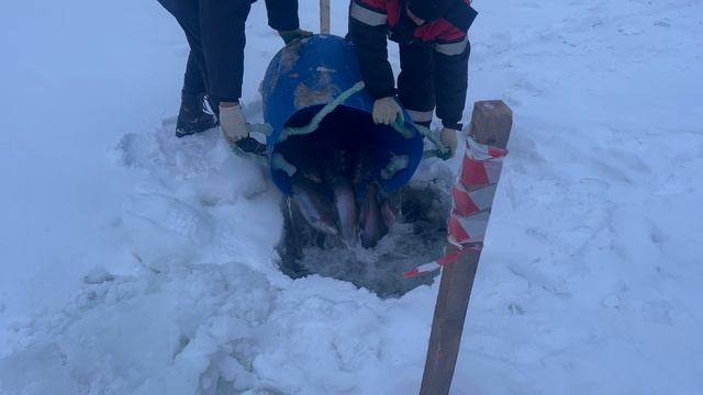 copy_04DB5F45-B9AE-4C99-AE33-1276100FC8CF смотреть онлайн