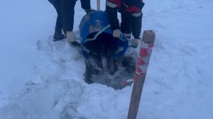 copy_04DB5F45-B9AE-4C99-AE33-1276100FC8CF