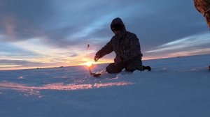 Рыбалка на судака Бирсуат 2026