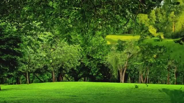 ВКЛЮЧИТЕ ЭТУ МУЗЫКУ ДЛЯ ДУШИ — УСНИТЕ ГЛУБОКО УЖЕ ЧЕРЕЗ 5 МИНУТ смотреть онлайн