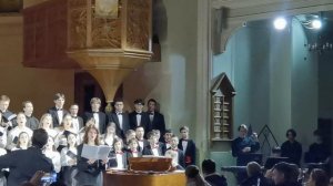 VID_20260111_222821.mp4