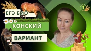 ЕГЭ БИО. Конский вариант. Часть 1