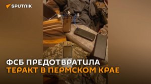 Теракт на ж/д мосту предотвращен в Пермском крае