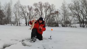 ОСОБЕННОСТИ РЫБАЛКИ НА ЩУКУ В ГЛУХОЗИМЬЕ