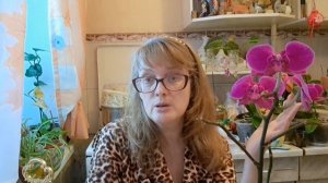 🚀🖋️КАКОЙ КАБЕЛЬ ПОПАЛСЯ,ИТОГ ГАНТЕЛЕЙ В ЛОБ,САМОДУРЫ ЭТО КЛАД💃🔥МОИ БУДНИ 🖋️🚀