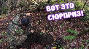 Я НАШЕЛ СРАЗУ ДВЕ В ЗАБРОШЕННОМ ПОСЕЛЕНИИ!