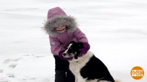 Заповедники и национальные парки ждут гостей. Доброе утро. Фрагмент выпуска от 12.01.2026