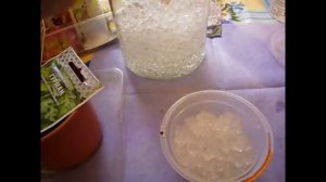 2126.  Посев зелени в январе.