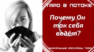 Почему он себя так ведёт? Не понимаете его? Давайте разбираться.