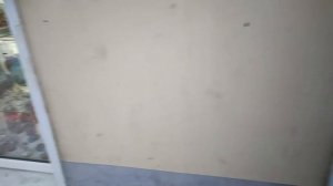 Влог / 11-12.01.2026 / Настолка и небольшая прогулка в центре города