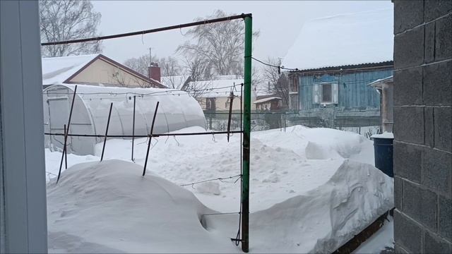 "Мело, Мело по всей земле, во все пределы... " видео от 4.01.26. Кузьма и вороны. 😊 смотреть онлайн