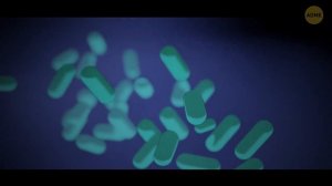 Что произойдёт, если гигантские крабы захватят океан?