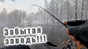 ПОКЛЁВКА НА КАЖДОМ ЗАБРОСЕ!!! ЗДЕСЬ ДОХРЕНА ОКУНЯ!!! РЫБАЛКА В ДАВНО ЗАБЫТОЙ ЗАВОДИ!!!