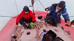 Ловим сорогу в палатке на городской речке Нанкпех.