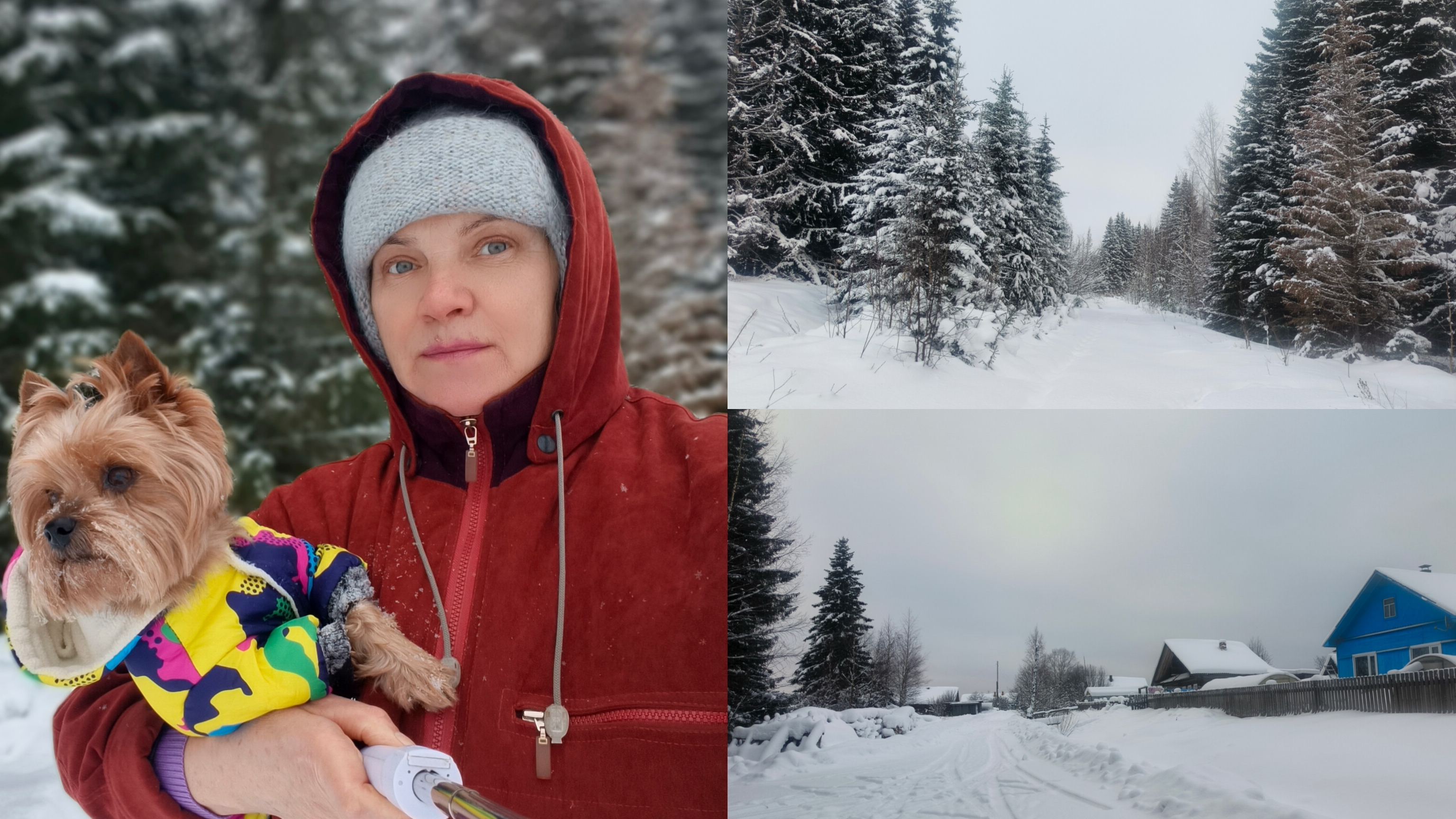 Прогулка по зимней деревне . смотреть онлайн