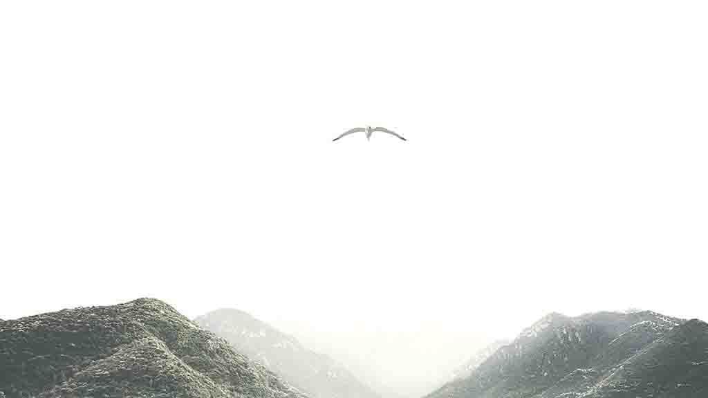 27 03 2022 Денис Путилов - Шалом смотреть онлайн