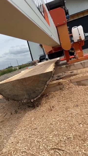 Попробуй оторвись (17) смотреть онлайн