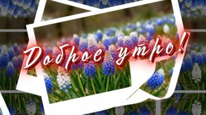 Доброе утро! Желаю вам проснуться утром раньше всех! Песня с добрым утром