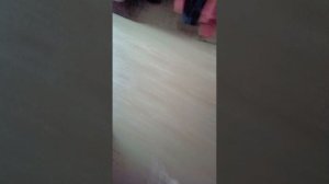 играем с Ксюшей в прятки