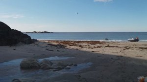 Баренцево море