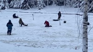 Основной водоём.Форель