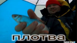 новогодняя рыбалка на плотву