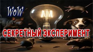 Секретный Эксперимент с неоновыми лампочками удался Электрик в шоке