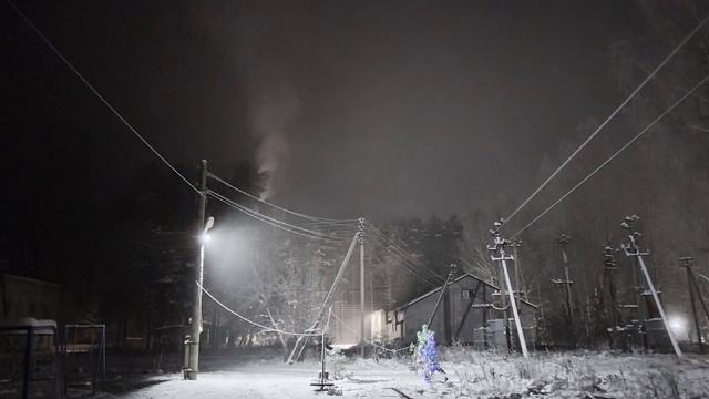 Белёсая красота на деревьях №3 смотреть онлайн