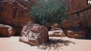 Нашид: Лиякун 🟢