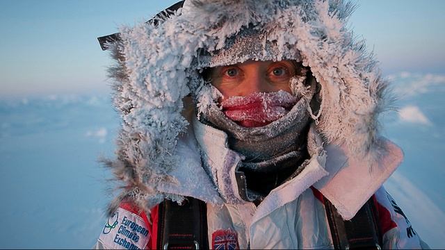 Полярный друг