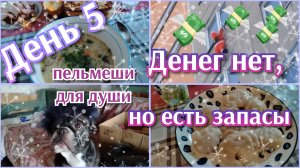 Денег нет, но есть запасы//день 5