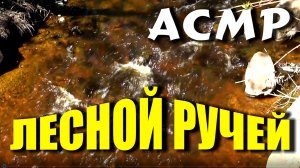 АСМР ЛЕСНОЙ РУЧЕЙ