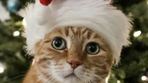 Новый год 🎉