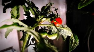 Оставляют вас на #белом столе #юмор.mp4