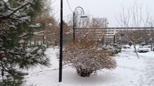 Заснеженный Новороссийск 12.01.2026