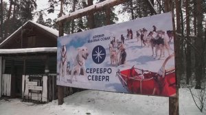 " Серебро севера " (1)   Деревня ездовых собак . Двор.