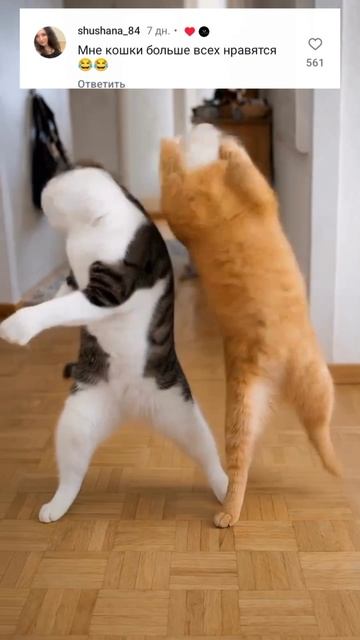 Танцуют все!reels концерт top trending dance trendingshorts shorts top