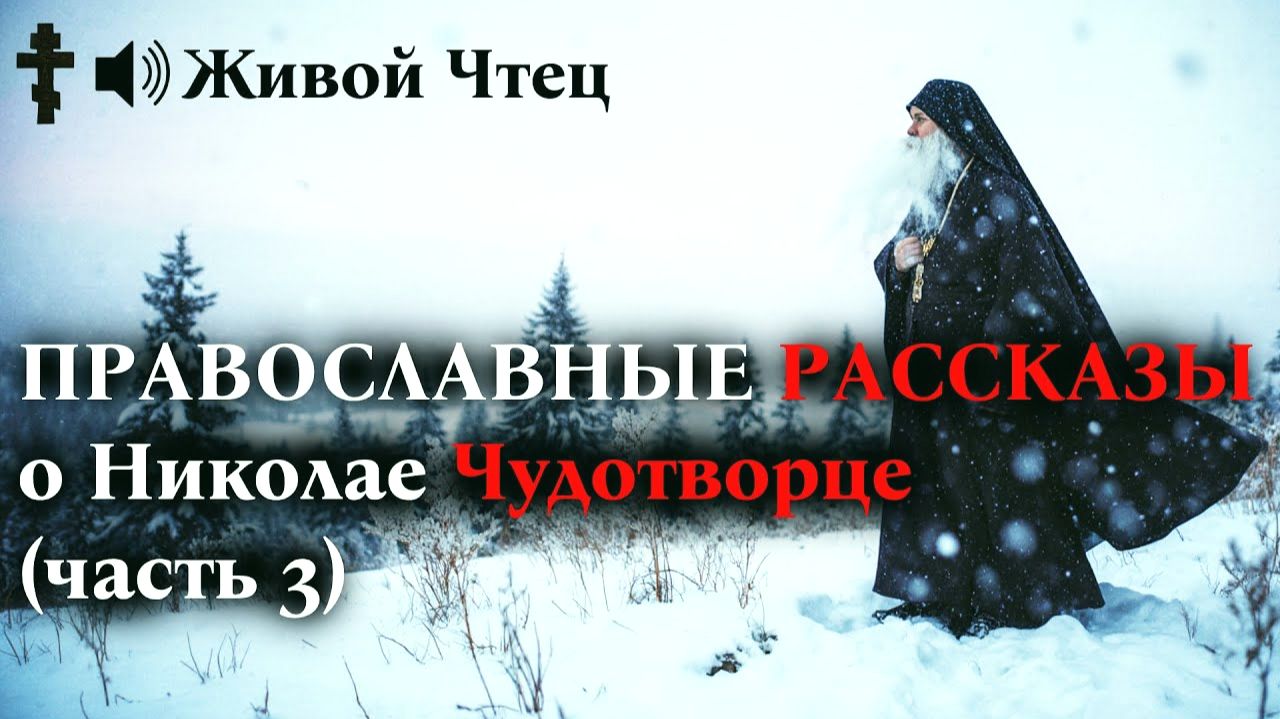 ОТОБРАЛ ИКОНУ У РЕБЕНКА-ИНВАЛИДА, НО ДАЛЕКО УЕХАТЬ НЕ СМОГ... ПРАВОСЛАВНЫЕ РАССКАЗЫ (часть 3) смотреть онлайн