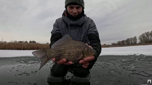 ОПУСТИЛ КАМЕРУ, А ТУТ КАРАСЬ НА КАРАСЕ! ЭТО ЖОР КАРАСЯ ЗИМОЙ! Зимняя рыбалка 2026 смотреть онлайн