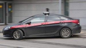 Уголовное дело возбудили после нападения рыси на девочку под Уфой