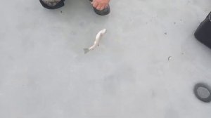 31.12.2025 Горное озеро Жандосово. Рыбалка на форель со льда