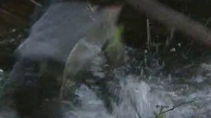 Времена и воины 2 сезон 4 серия (документальный сериал, 1994)