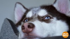 Включаем рабочий режим! Только без спешки... Доброе утро. Фрагмент выпуска от 12.01.2026