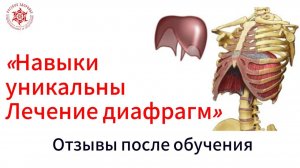 «Навыки уникальны». Лечение диафрагм. Отзывы после обучения